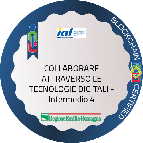 Badge pubblico 82813